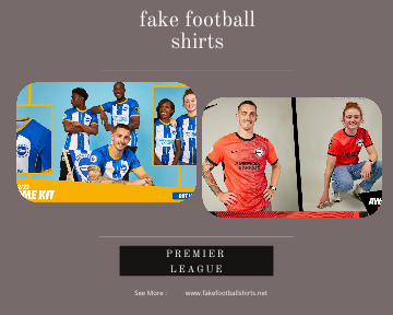 fake Brighton & Hove Albion football shirts 23-24